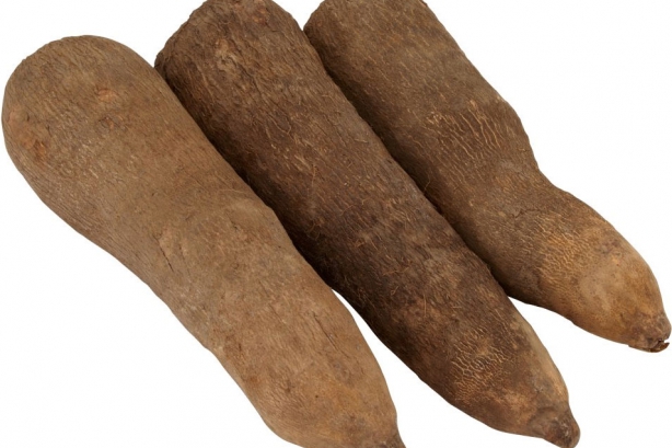 Featured Image